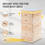 Beehive Kit Manufacturer - 5-Layer Beehive Kit Starter Beekeeper's