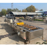Fruit Washer Factory - Green Vegetable Fruit Washer Air Bubble
