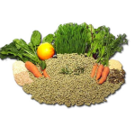 Wood Pellet Machine Manufacturer - High Efficiency Industrial Electric