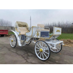 Electric Tricycle Factory - COC Certified Electric Tricycle Customized