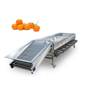 Processing Machine Supplier - Automatic Fruits Vegetables Processing