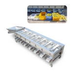 Processing Machine Supplier - Automatic Fruits Vegetables Processing