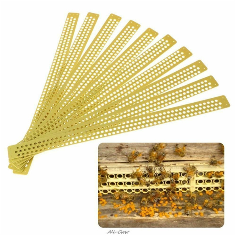 Bee Pollen Collector Supplier - 5 Pcs New Steel Bee Pollen Collector