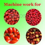 Size Grading Machine Manufacturer - Economical Mini Fruit Size Grading