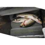 Fish Processing Equipment Manufacturer - 70cm Electric Fish Scale Remover