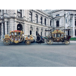 Electric Carriage Manufacturer - Electric Hoseless Carriage Gold State