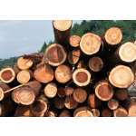 Sawdust Crusher Supplier - Hot Sale Wood Sawdust Crusher Mesh