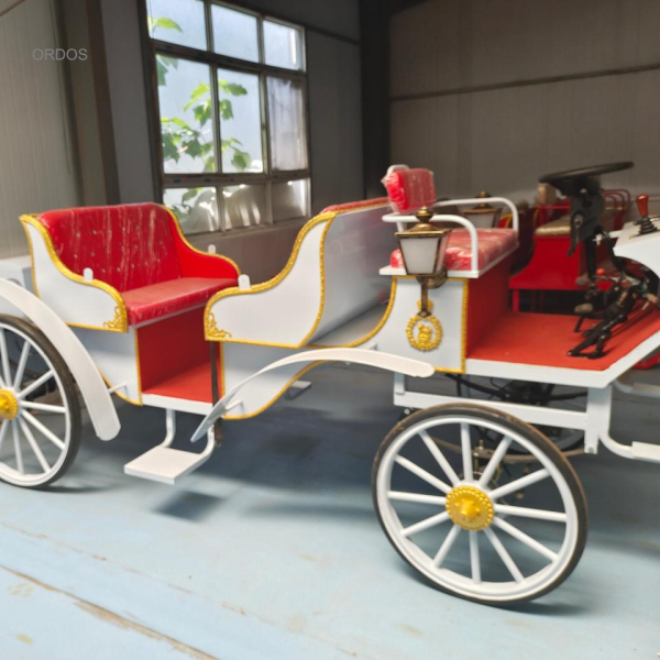Sightseeing Carriage Factory - Factory Priced High Quality Customized