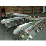 Size Grading Machine Manufacturer - Economical Mini Fruit Size Grading