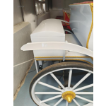 Sightseeing Carriage Manufacturer - Customized COC Electric Tricycle Sightseeing