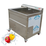 Vegetable Washer Factory - Industrial Fruit Vegetable Washer Ozone