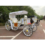 Electric Tricycle Factory - COC Certified Electric Tricycle Customized