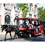 Cinderella Carriage Supplier - Life Size Cinderella Horse Carriage