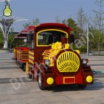 Large Passenger Factory - Large Passenger Capacity Amusement Equipment