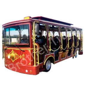 Sightseeing Car Factory - High Quality Amusement Park Large Capacity