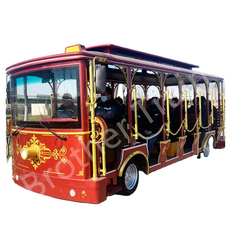 Sightseeing Car Factory - High Quality Amusement Park Large Capacity