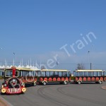 Big Outdoor Factory - Big Outdoor Electric Tourist Train for Passengers