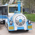 Adult Children Supplier - Adult Children Tourist Trackless Train