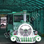 Big Outdoor Factory - Big Outdoor Electric Tourist Train for Passengers