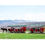 Wedding Carriage Manufacturer - New Style Wedding Sightseeing Horse