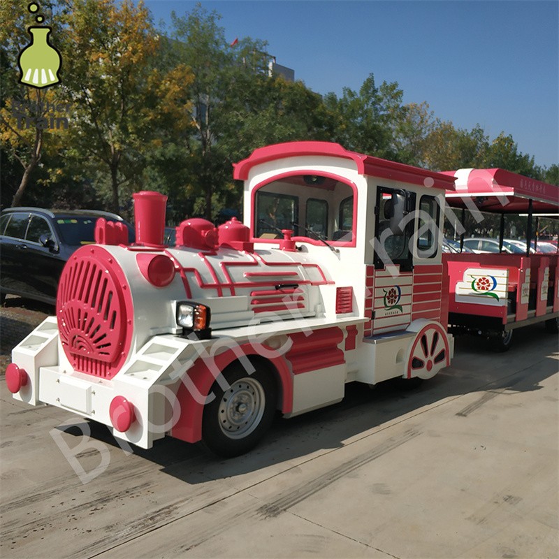 Large Passenger Factory - Large Passenger Capacity Amusement Equipment