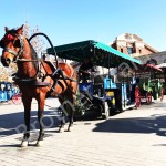 Theme Park Carriage Factory - High Quality Theme Park Cinderella Royal