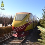 High Quality Factory - High Quality Amusement Park Train Zoo Track