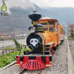 Big Capacity Manufacturer - Big Capacity Attraction Customized Tourist