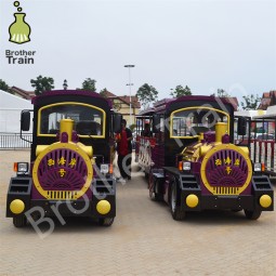 Big Capacity Manufacturer - Big Capacity Zoo Train Electric Engine