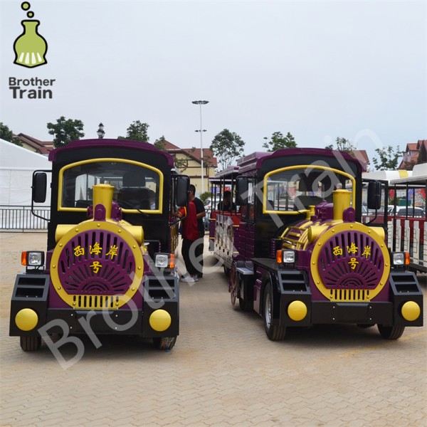 Big Capacity Manufacturer - Big Capacity Zoo Train Electric Engine