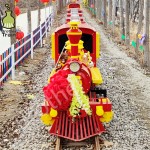 Amusement Park Train Manufacturer - 36 Seats Gasoline Electric Tourist