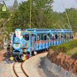 Passenger Track Factory - More 200 Passenger Track Train Amusement