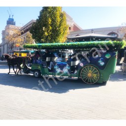 Sightseeing Cart Supplier - Sightseeing Cart for Sale Luxury Electric