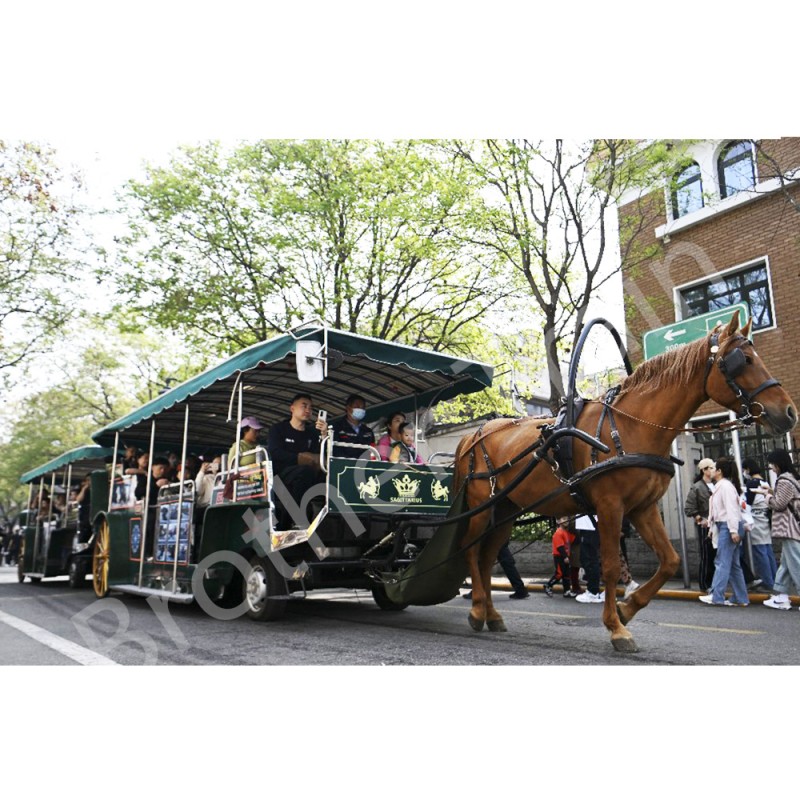 Battery Carriage Supplier - Best Quality Amusement Park Battery Operated