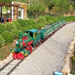 Battery Train Supplier - High Quality Battery Operated Mini Outdoor