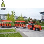 Big Amusement Supplier - Big Amusement Park Rides Tourist Train
