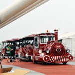 Electric Ride Supplier - Electric Ride Train Kids Rides Amusement
