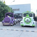 Large Capacity Factory - Large Capacity Attraction Tren Electrico Amusement