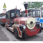 Brother Electric Factory - Brother Electric Amusement Kids Tourist