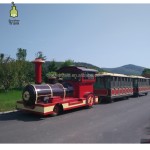 CE Approved Supplier - CE Approved Outdoor Trackless Train for Sale