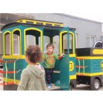 Mini Train Manufacturer - Mini Mall Electric Train Manufacturer Direct