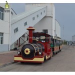 CE Approved Supplier - CE Approved Outdoor Trackless Train for Sale