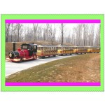 HO Scale Manufacturer - Large HO Scale Model Tourist Trains Custom