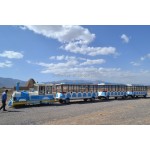 China High Factory - China High Quality Amusement Park 107 Passengers