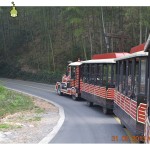 Professional Supplier - Professional Amusement Park Supplies Kids