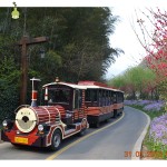 Professional Supplier - Professional Amusement Park Supplies Kids