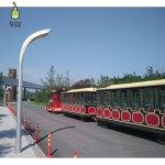 CE Approved Supplier - CE Approved Outdoor Trackless Train for Sale
