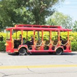 Popular Attraction Manufacturer - 2024 Popular Attractive Sightseeing Tram