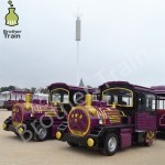 Large Passenger Factory - Large Passenger Capacity Amusement Equipment