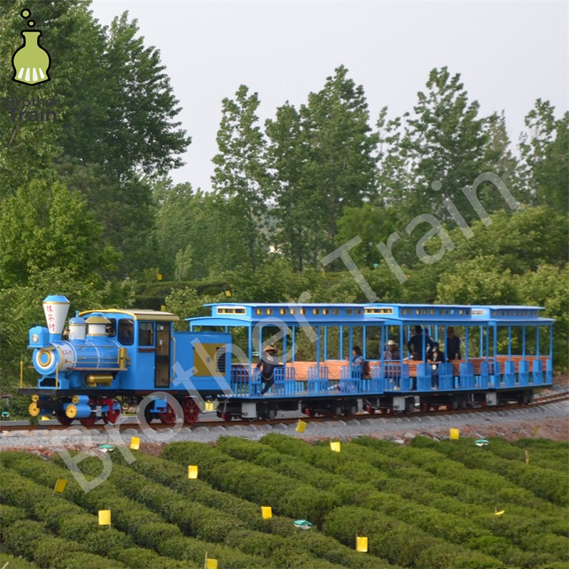 Wholesale Custom Supplier - Wholesale Custom Design Rail Train Tourist